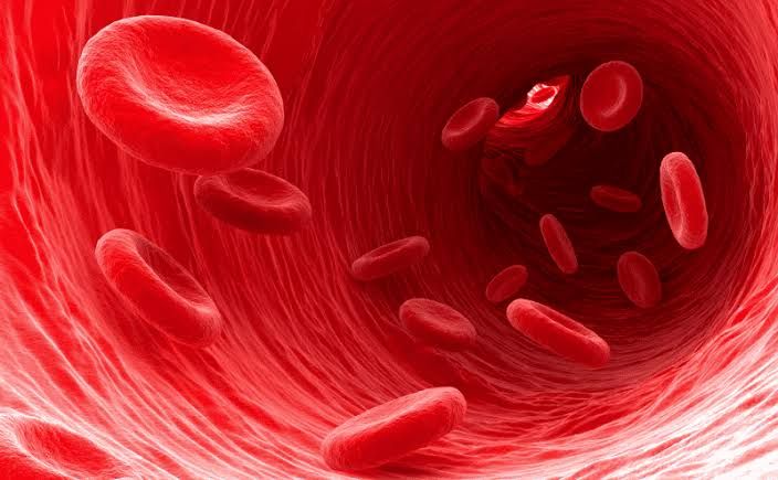 ESSENTIALS FOR HEALTHY BLOOD CELL DEVELOPMENT