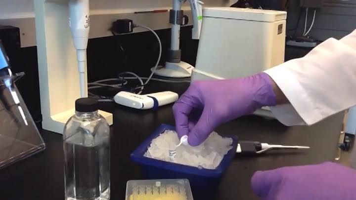 LIGATION USING pET VECTOR LIGATION USING pET VECTOR