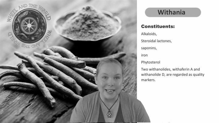 Natural Health Courses 1 Natural Health Courses