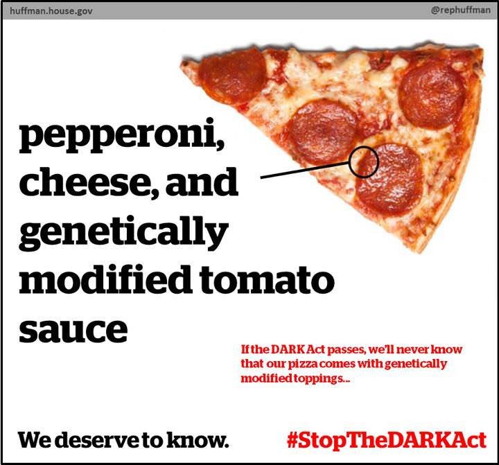 gmo tomato