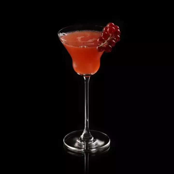 Red Rum 'Martini'