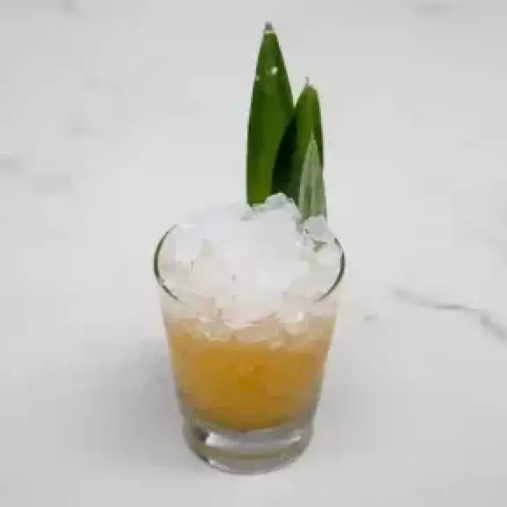 Ghost of Black's Beach