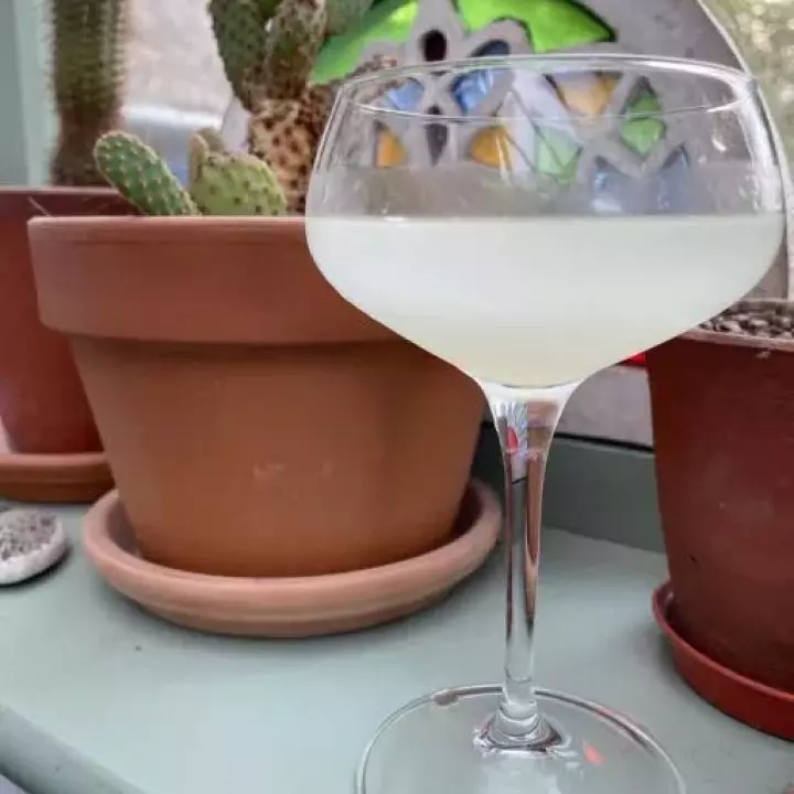 Papawahaquarita