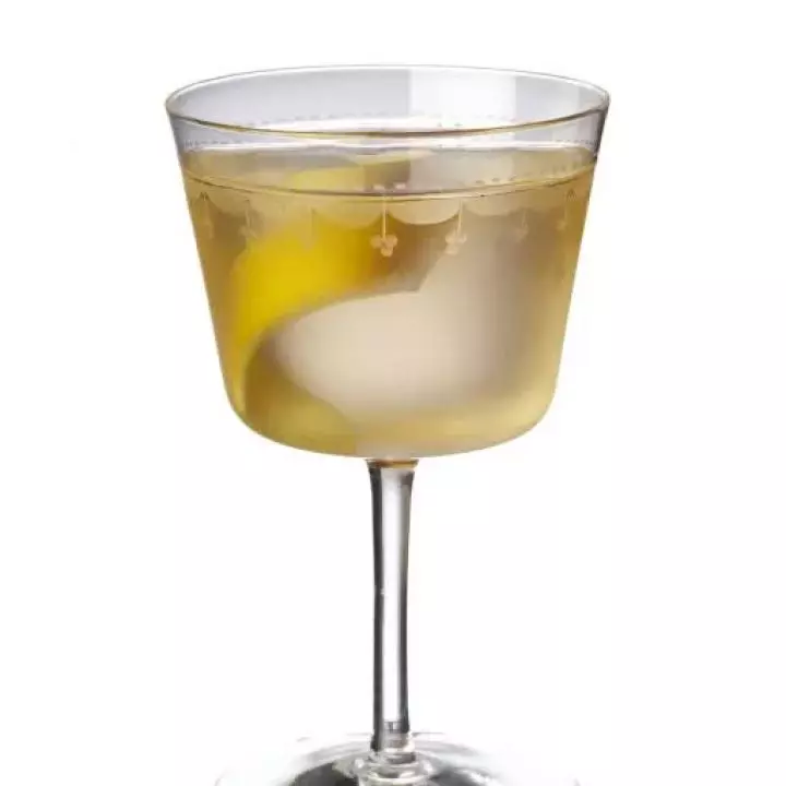 Improved Holland Gin Cocktail
