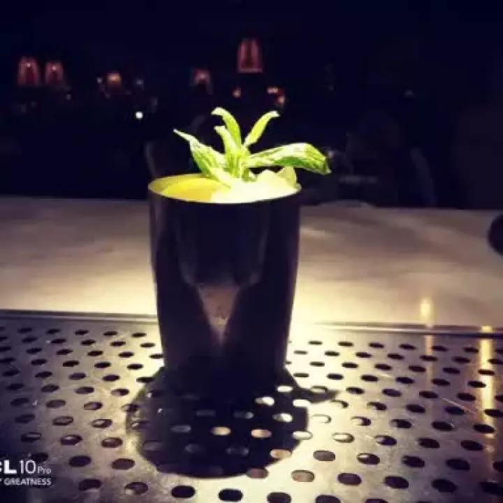 Ginger mule