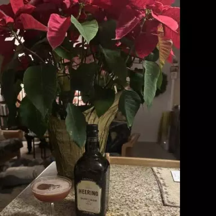 Holiday Heering Aid
