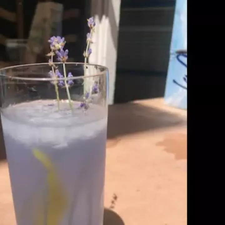 Lavender Collins
