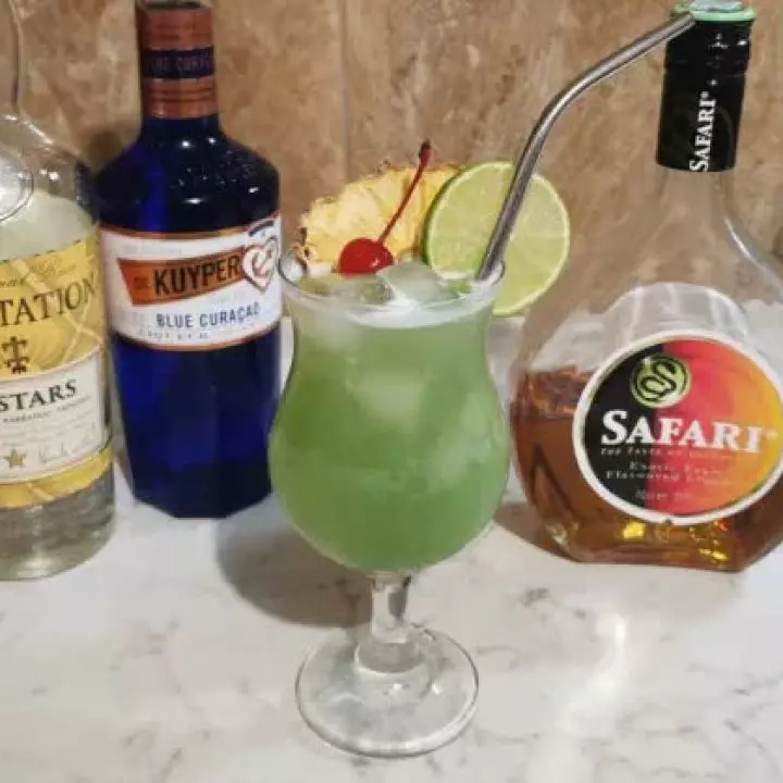 Jungle Safari