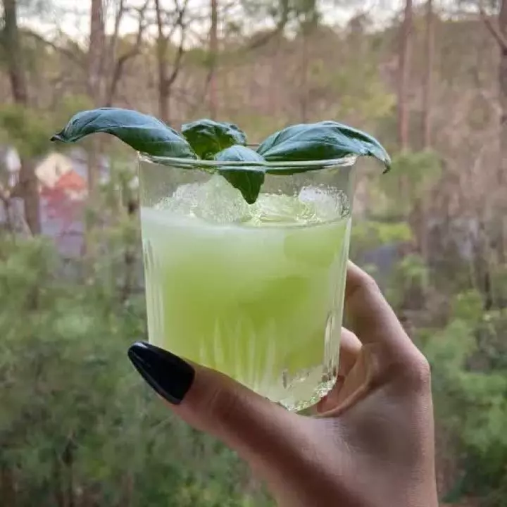 Gin Basil Smash for Libby
