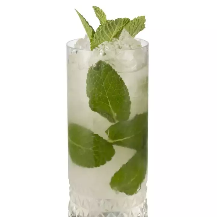 Mojito (no added sugar & low-calorie)