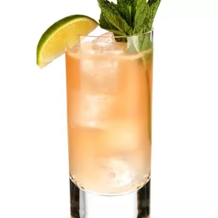 Dutch Mule
