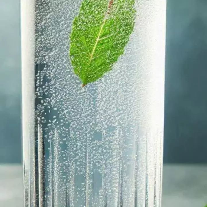 Garden Elderflower Fizz