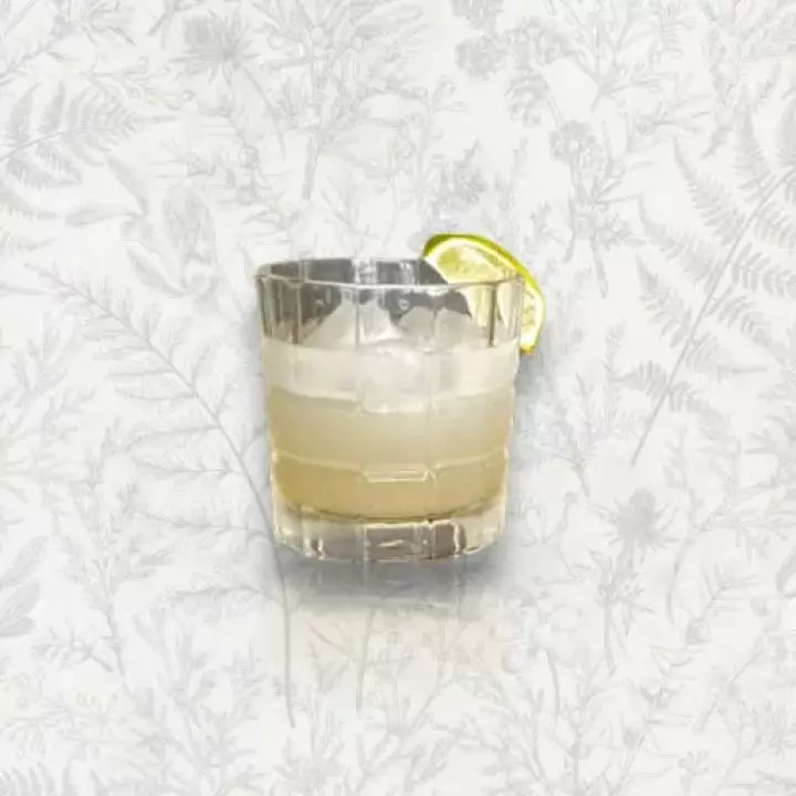 James Martin's Gin - Foghorn