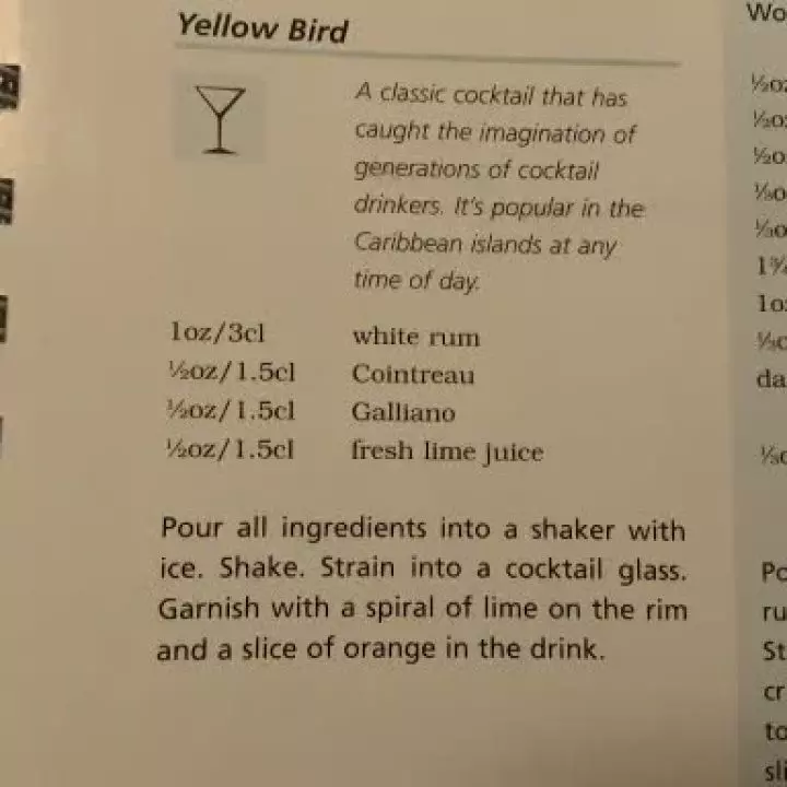 Yellow Bird (Salvatore Calabrese's Version)