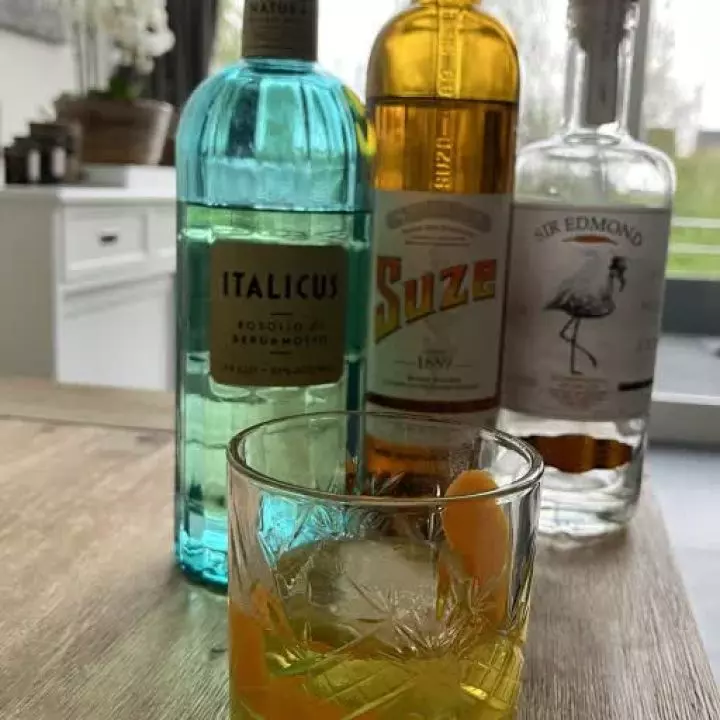 Orange Gila