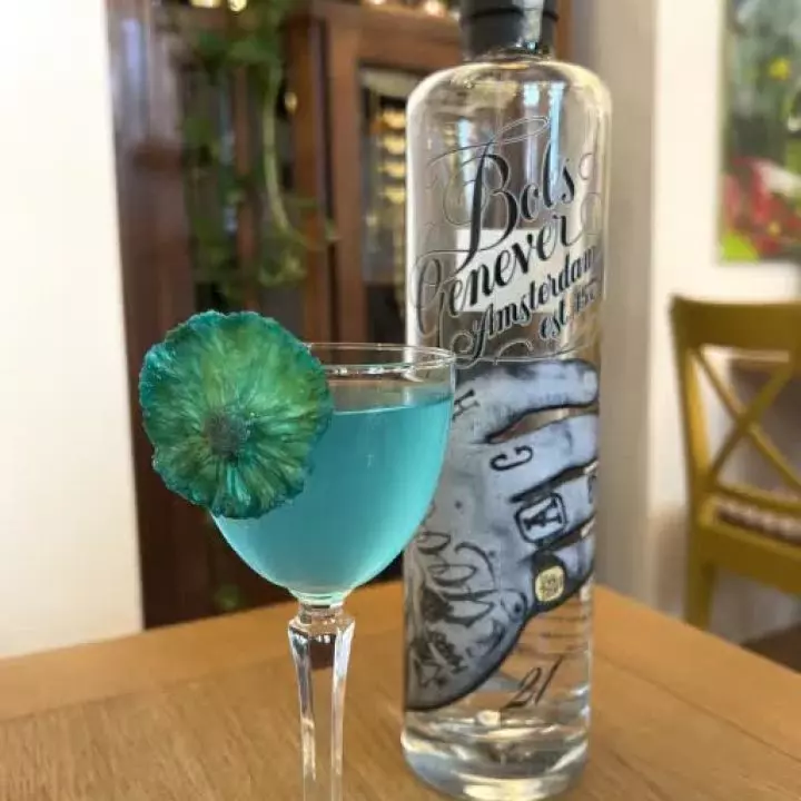 Blue Dutchman