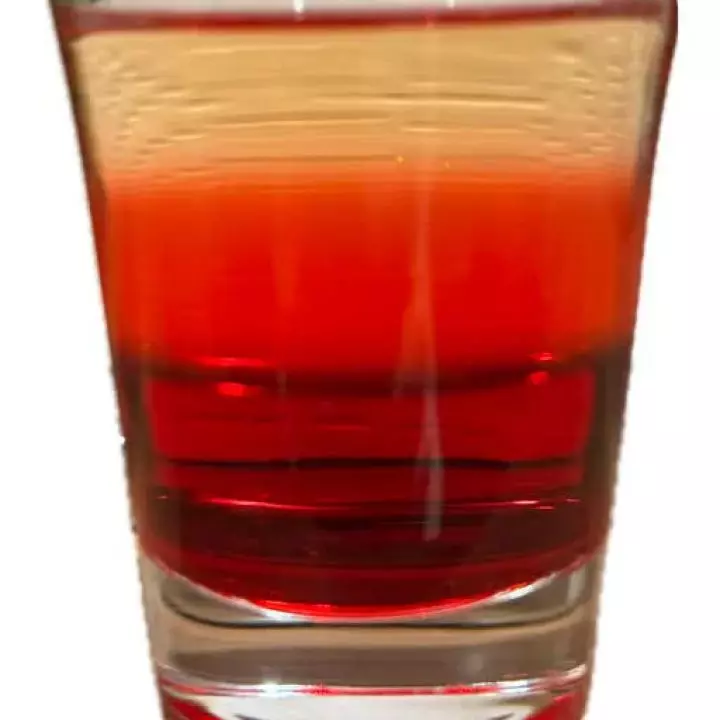 GPT Shot