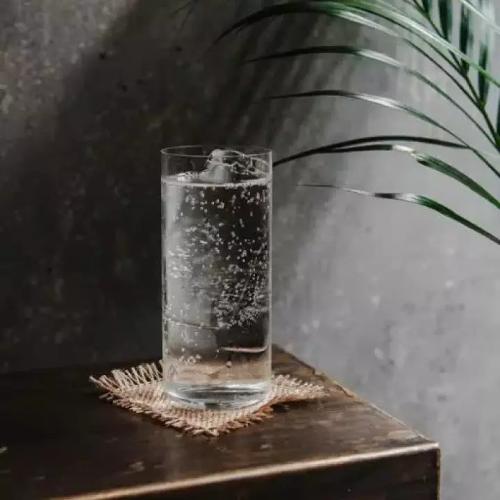 Fig Leaf & Tonic