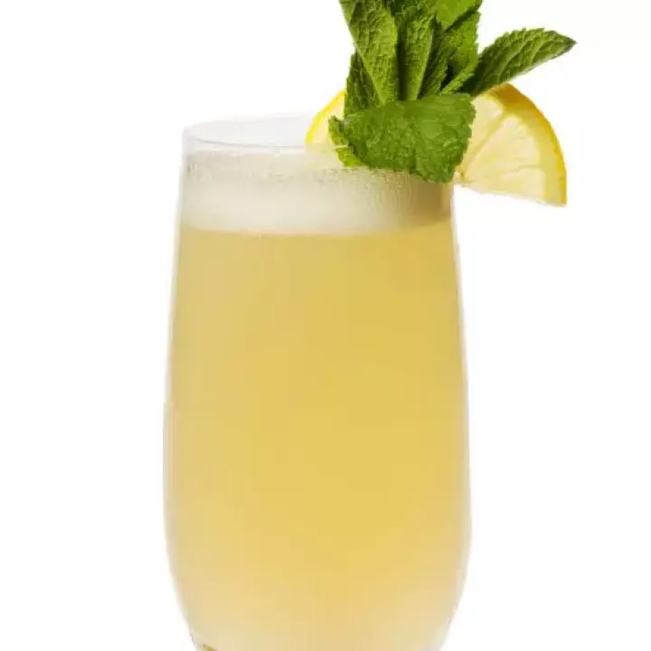 New Orleans Gin Fizz