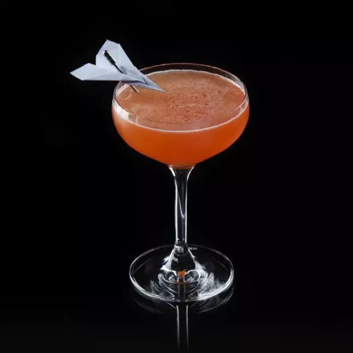 Paper Plane