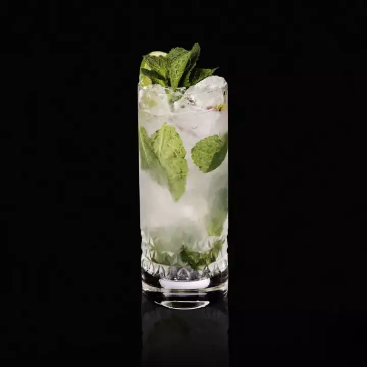 Marine Mojito