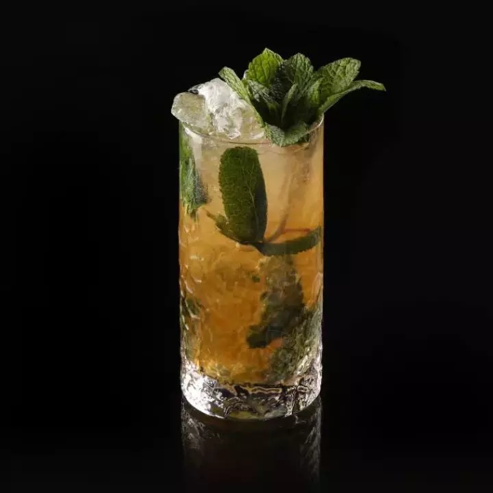 Temperance Amaro Mojito