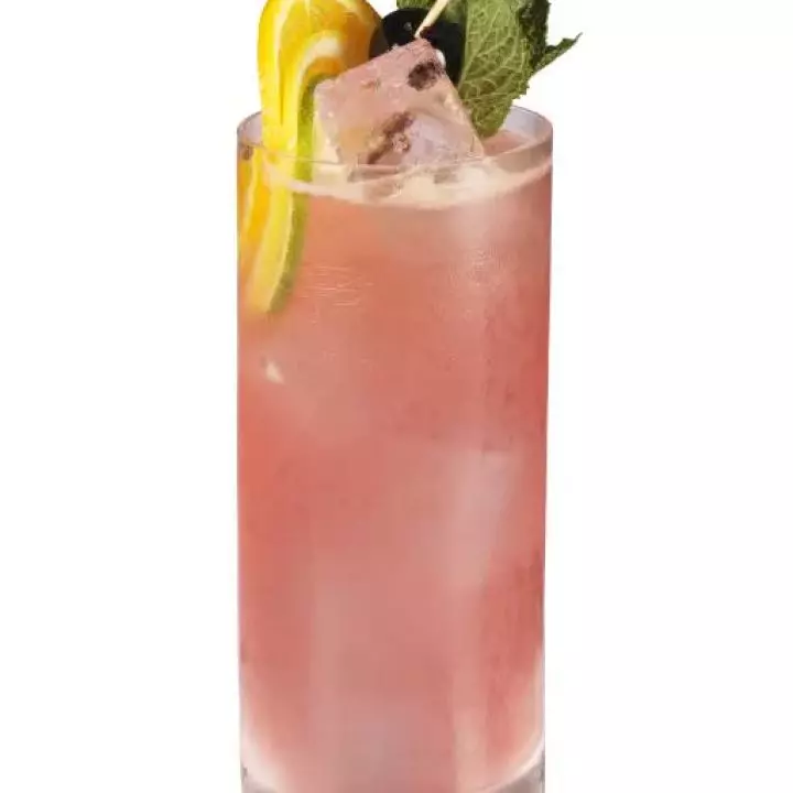Gin Daisy #3 (Modern long style)