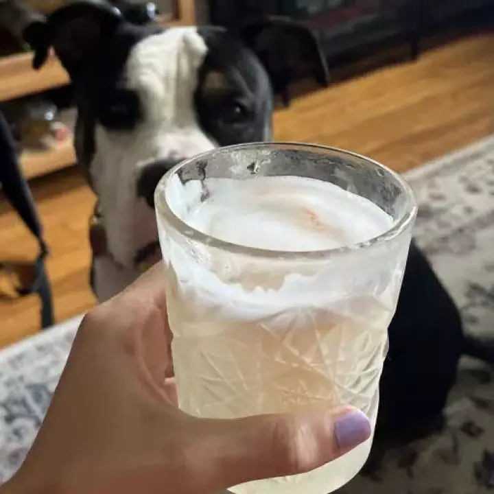 Mezcal Sour