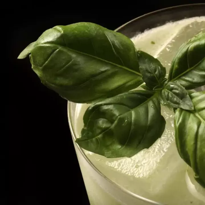 Grappa Basil Smash