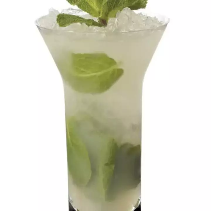 Temperance Apple Mojito