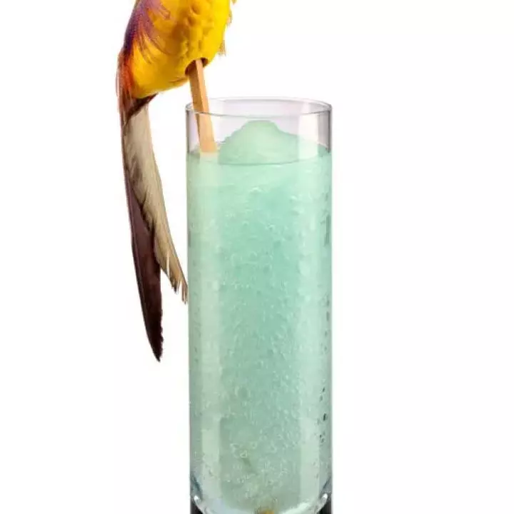 Dead Parrot Colada
