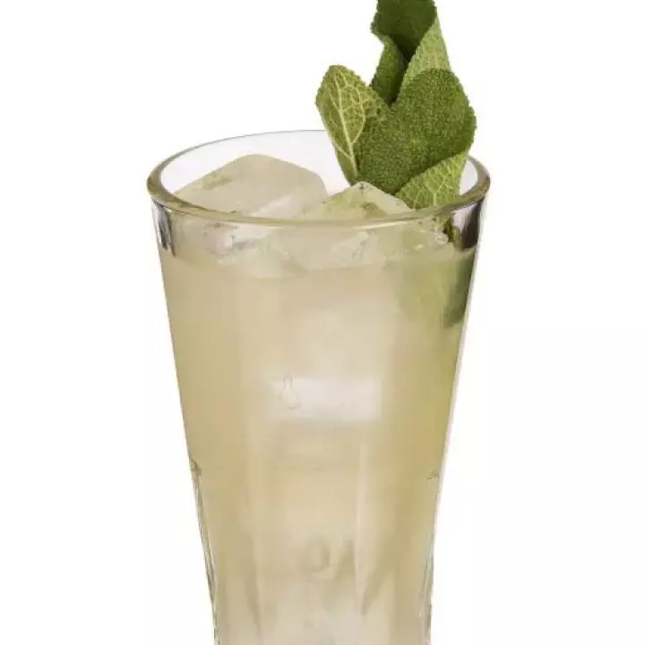 The Lemon Peel
