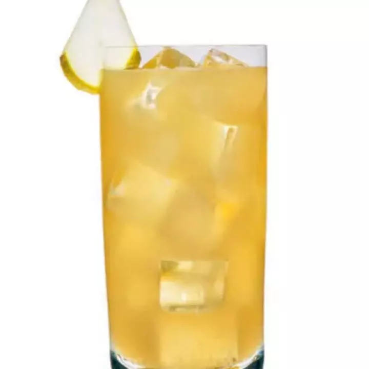 Prickly Pear Mule