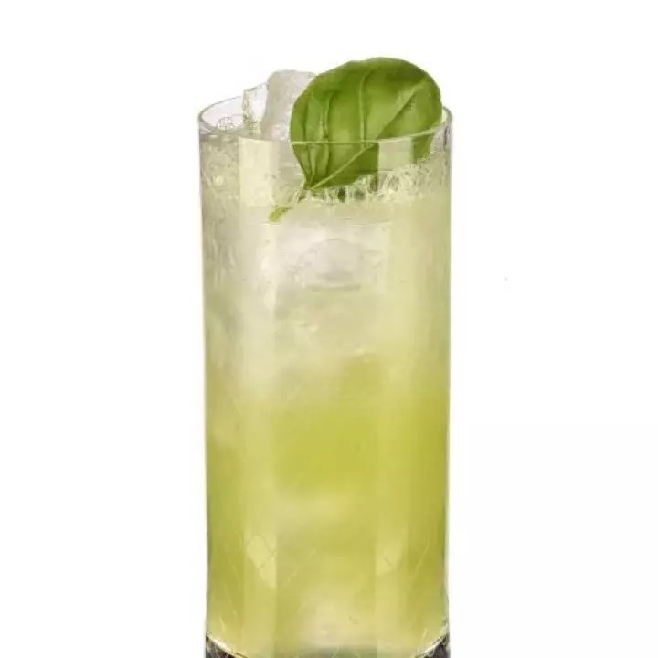 Black Basil