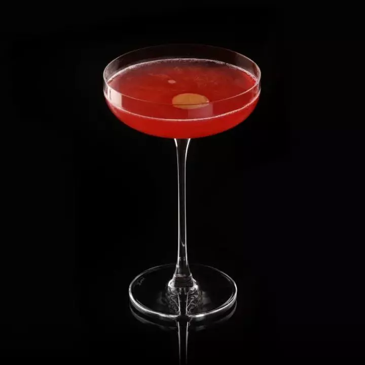 Crimson Bird