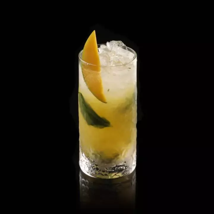 Mango Mojito