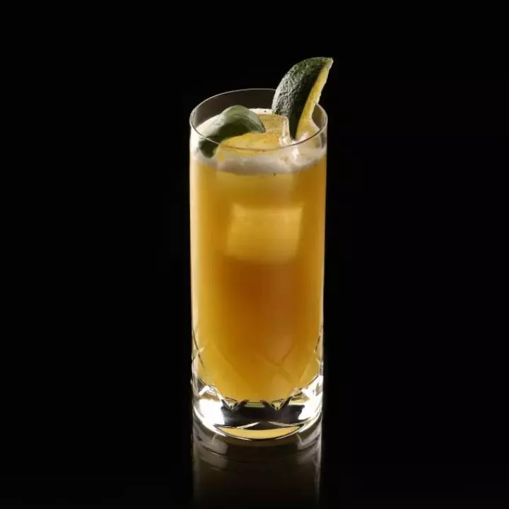 Swamp Water