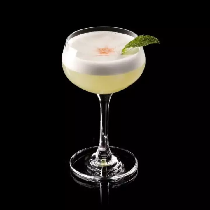 Bold Botanist Gin Sour