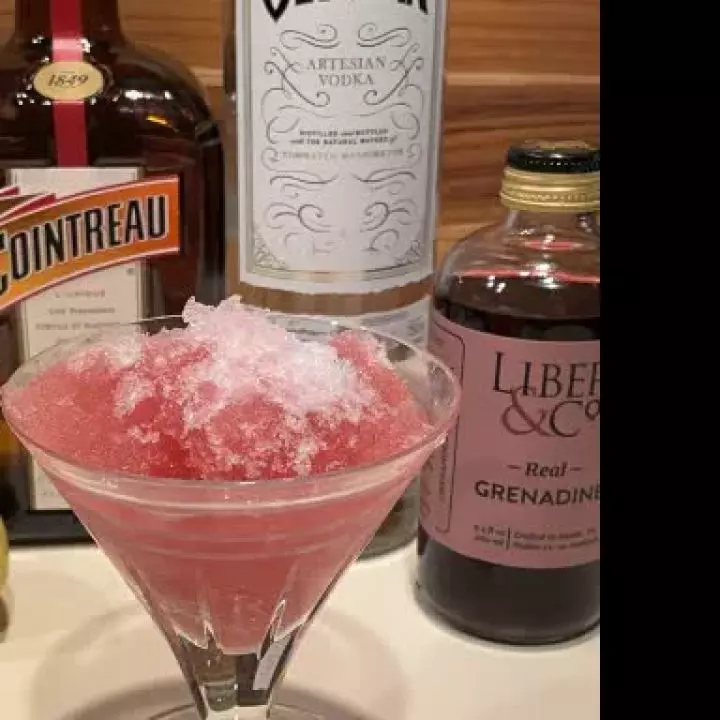 Snowmopolitan