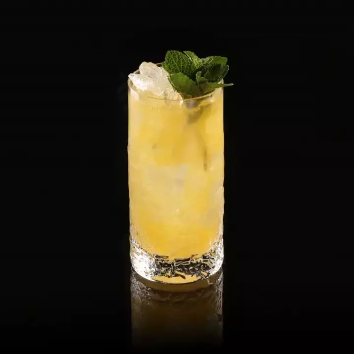 Mango Mule