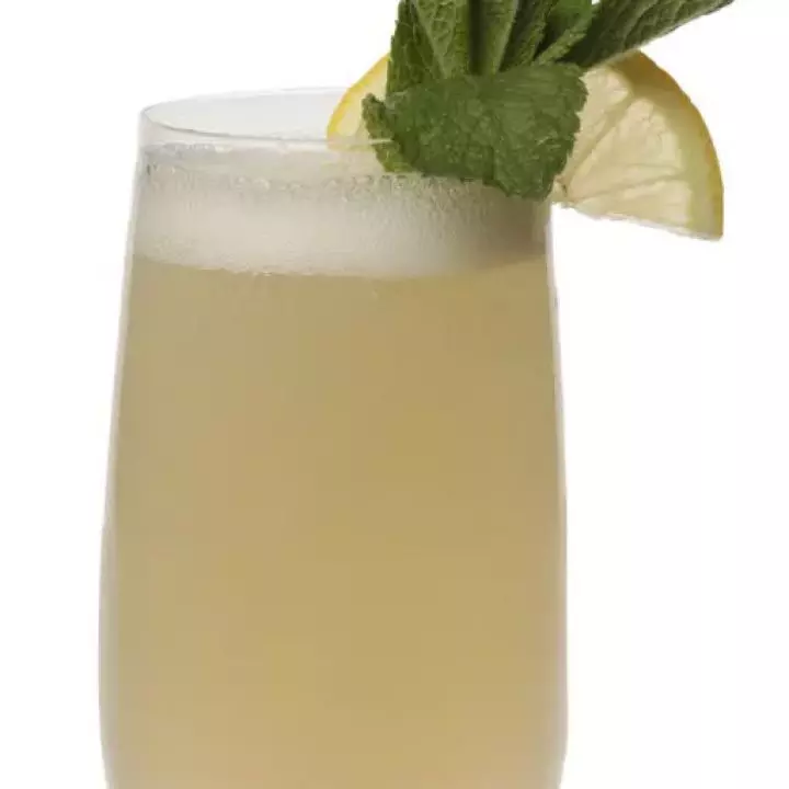 Elderflower Gin Fizz