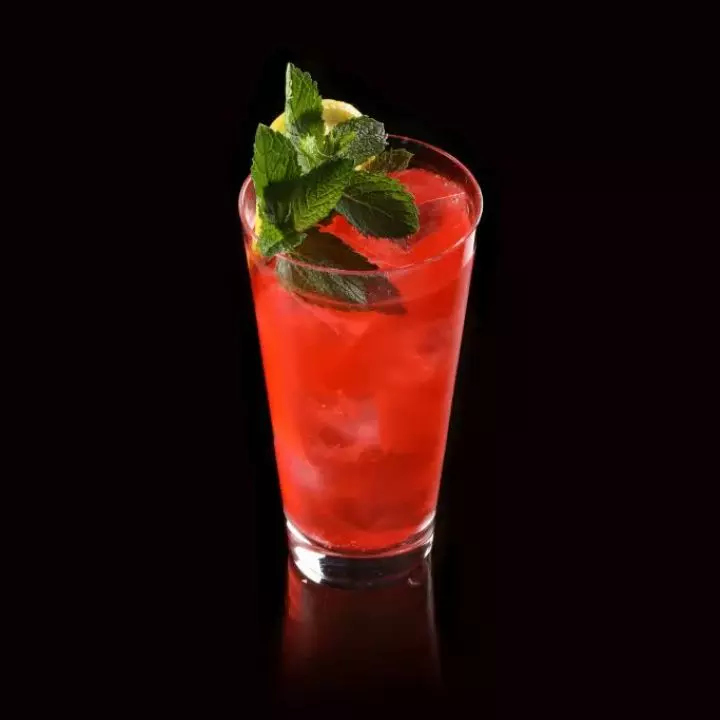 Watermelon Fizz