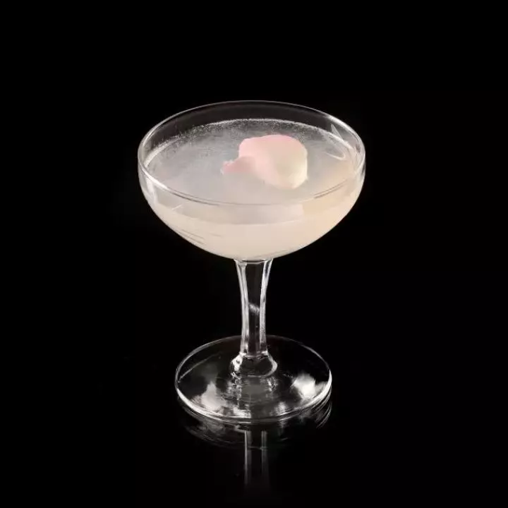 Rosa Rosada Margarita