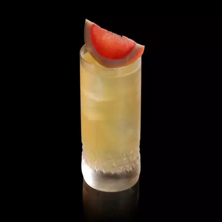 Bee Paloma