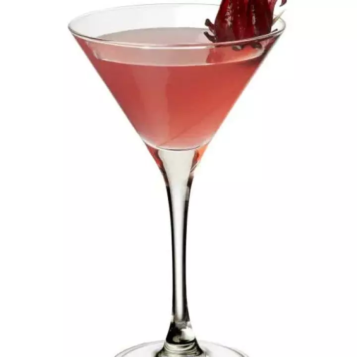 Hibiscus Margarita