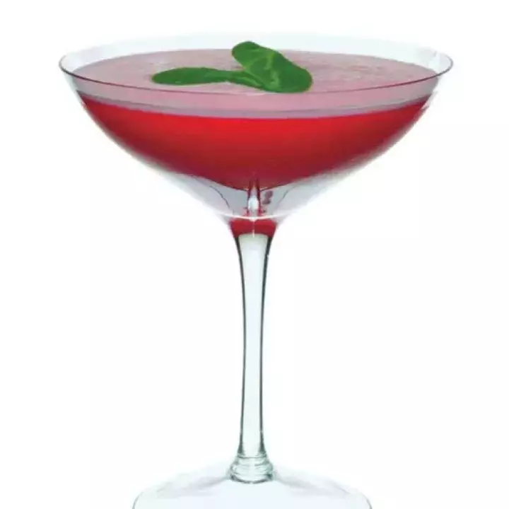 Clover Leaf 'Martini'