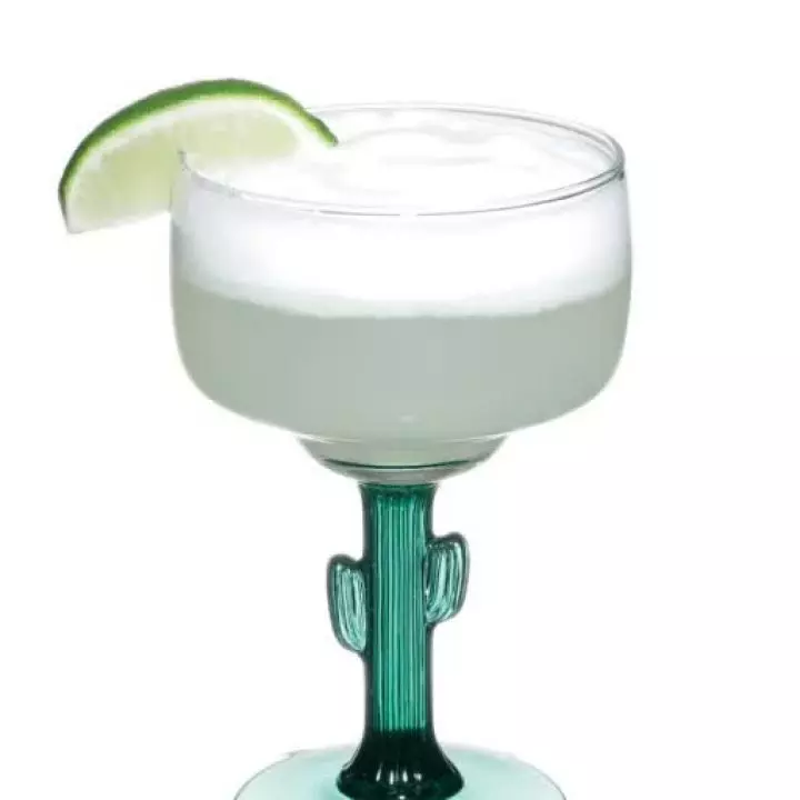 Margarita with Salt Foam Float