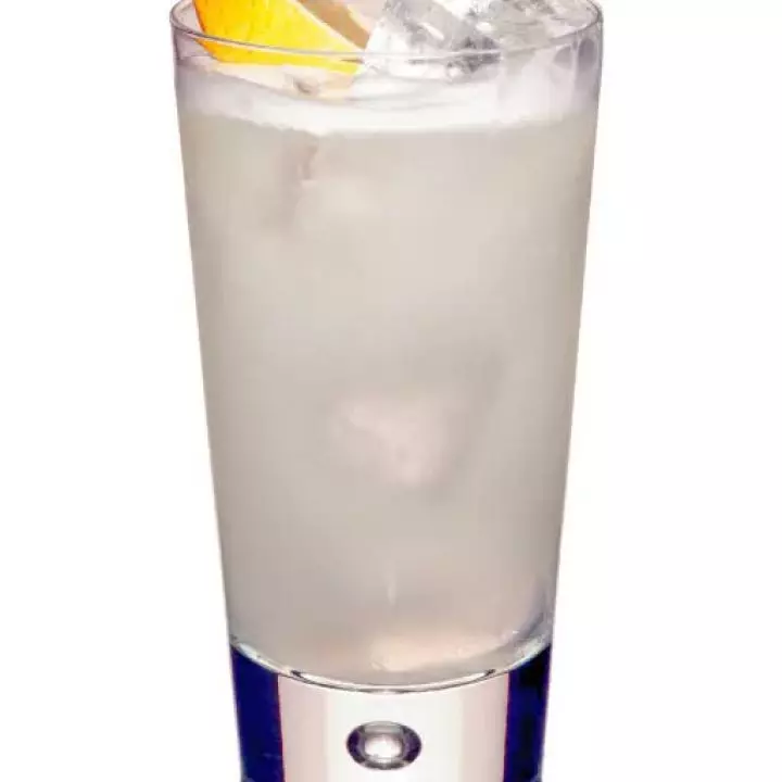 White Gin Fizz