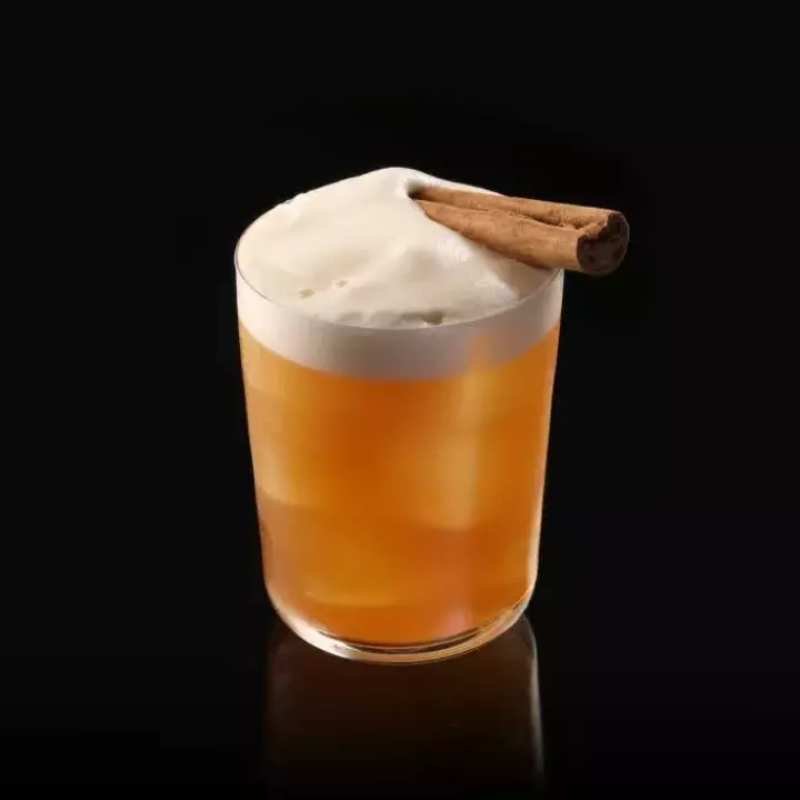 Cinnamon Amaro Sour