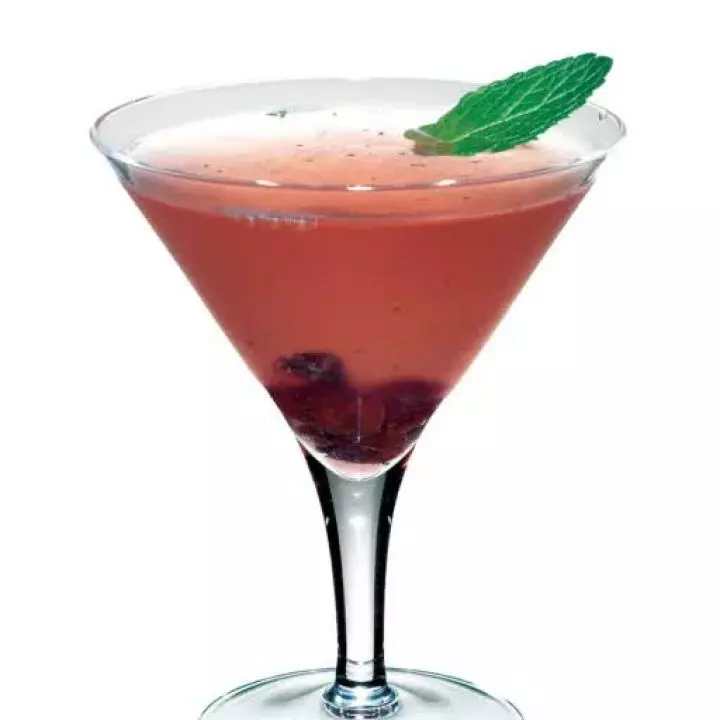 Cranberry & Mint Cocktail